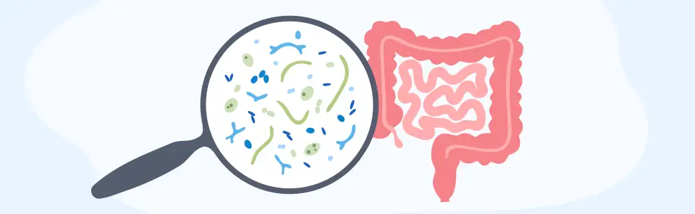 Ce_sunt_probioticele